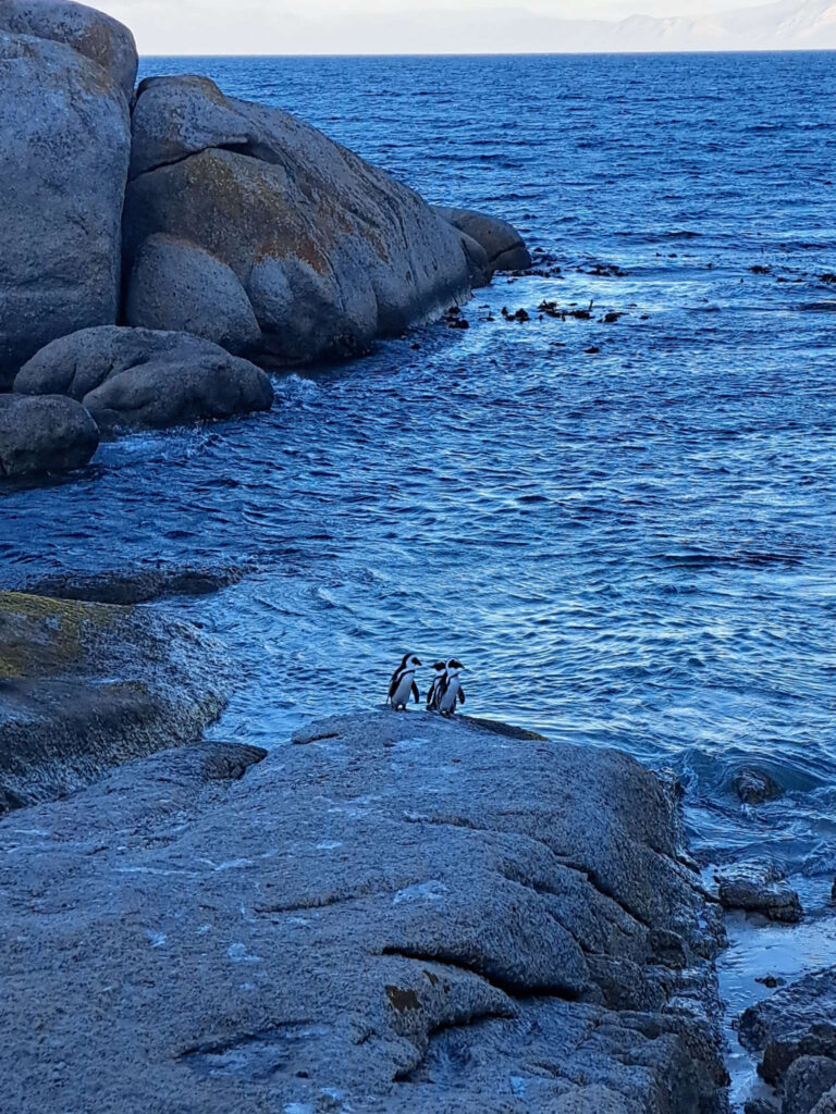 Restorative Justice Bildungsreise 2025 Ausflüge Beach Tour